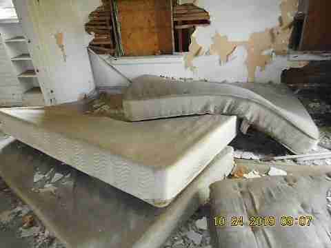 13279 Lauder (15)_m.jpg